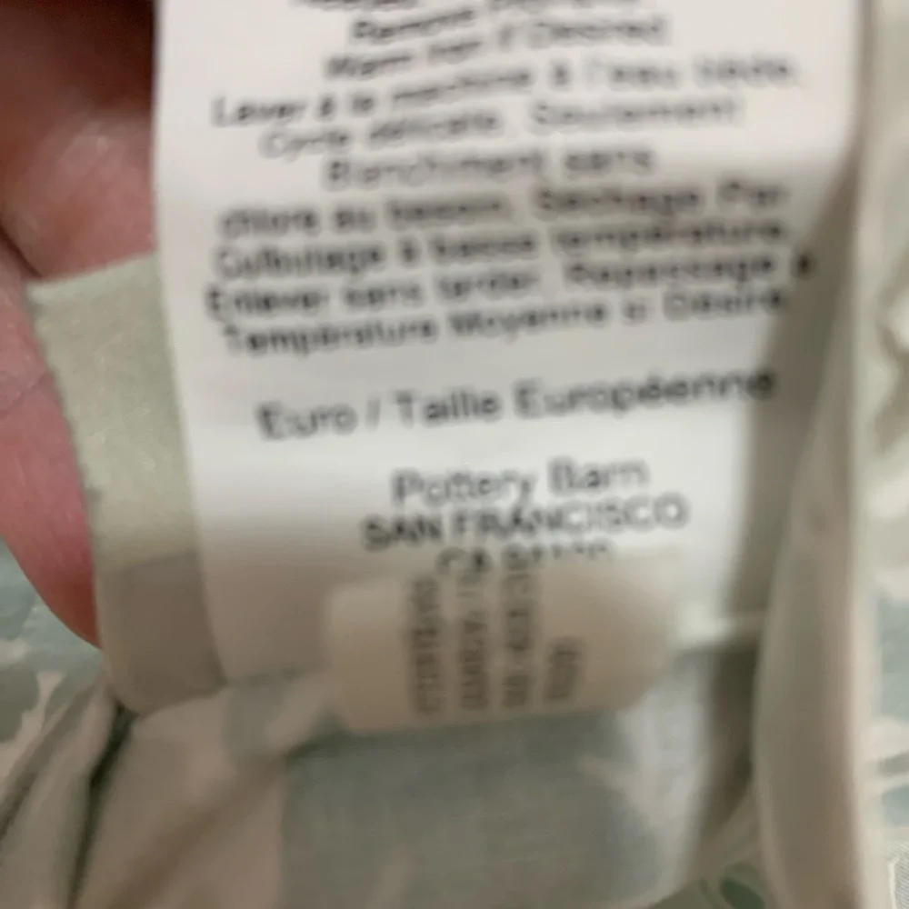 Pottery Barn Paisley euro sham